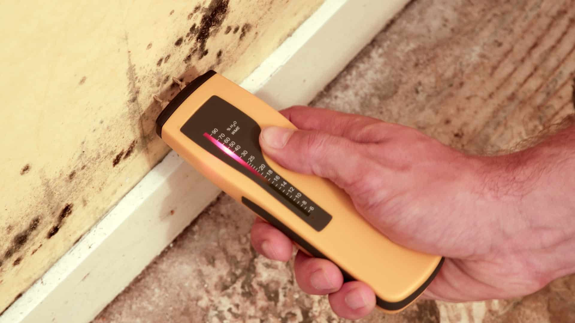 diagnostic humidité à Vitry-Le-Francois (51300)